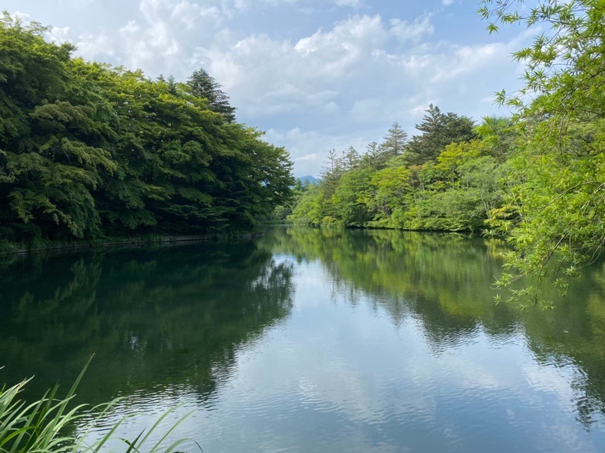 軽井沢の雲上池